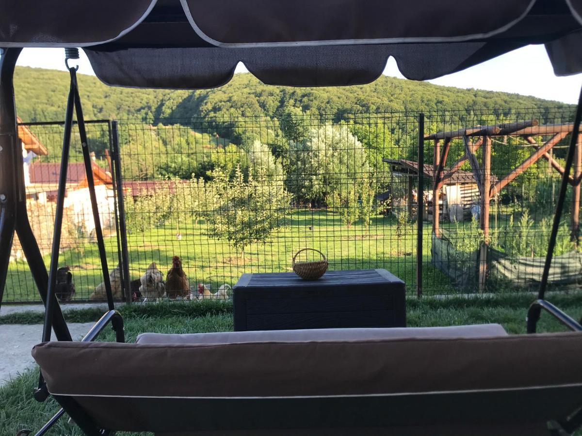 Apartament La Vila Curtea de Argeş Екстериор снимка