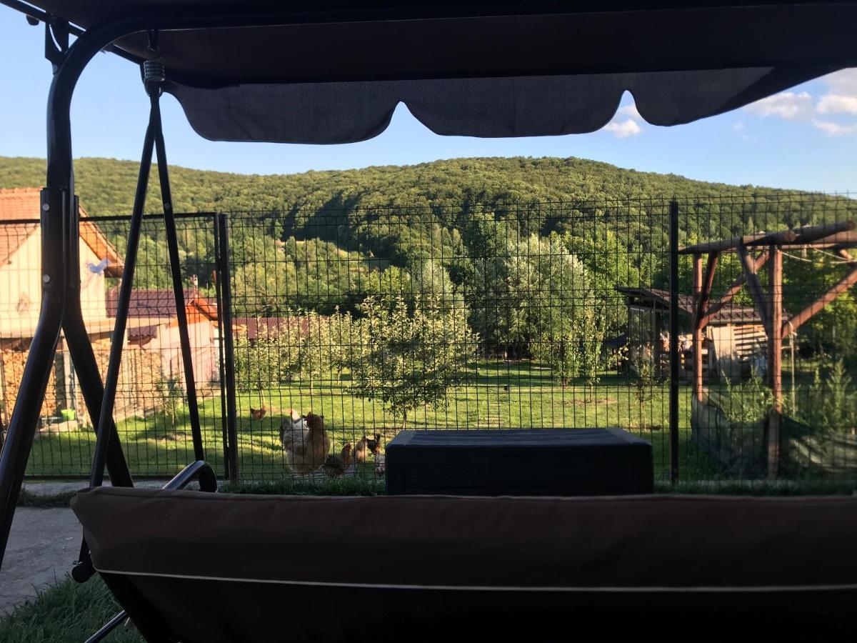 Apartament La Vila Curtea de Argeş Екстериор снимка
